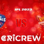 DC vs SRH Live Score starts on 29th April 2023 at Punjab Cricket Association IS Bindra Stadium, Mohali, India. Here on www.cricrew.com you can find all Live, Up